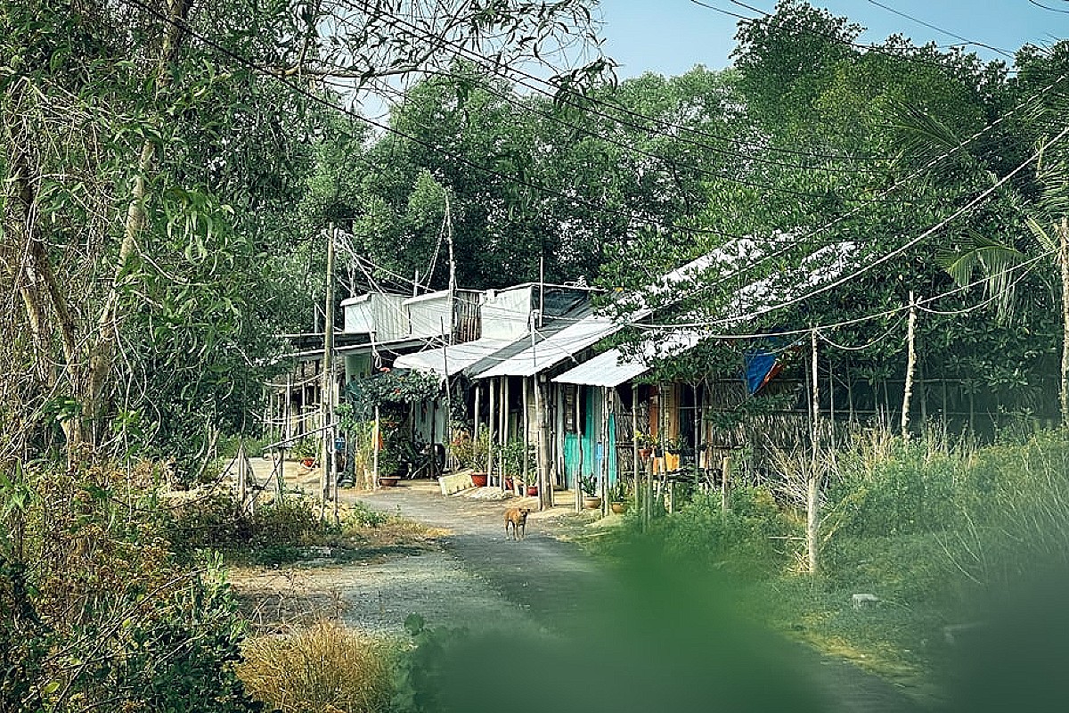 Spółdzielnie energetyczne z farmami PV – przyszłość lokalnej energetyki w Polsce