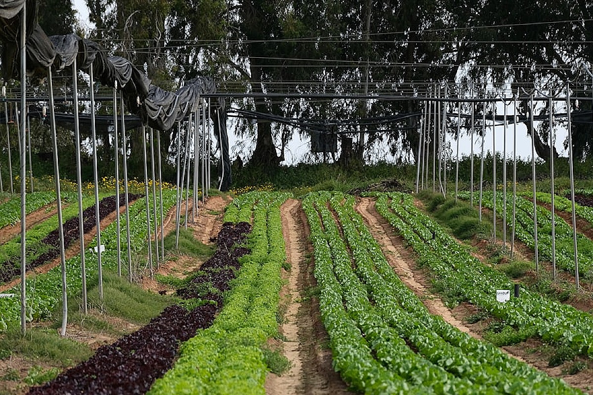 Farma PV na terenach skażonych i nieużytkach – nowa specjalizacja PV Expert