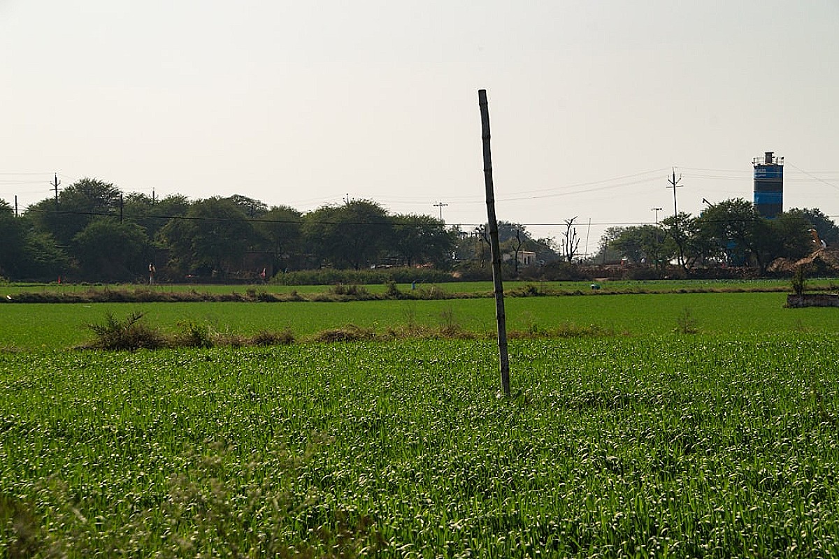 Agrofotowoltaika: Jak połączyć uprawy z produkcją energii i zwiększyć dochody z ziemi