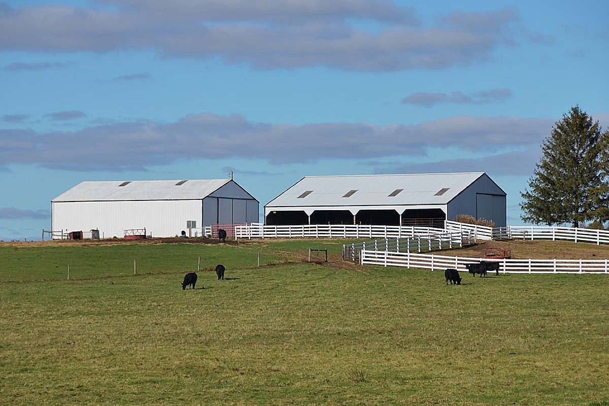 Jak sfinansować farmę fotowoltaiczną? Przewodnik po leasingu, kredytach i funduszach UE
