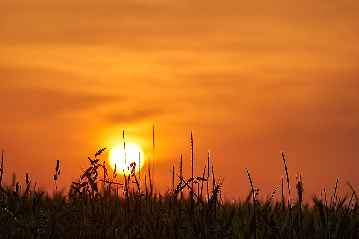 Gminy w Europie i Polsce adaptują się do zmian klimatu dzięki OZE