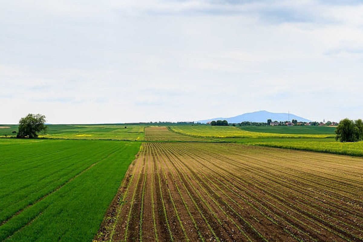 Agroprosument: Nowa era energetycznej niezależności polskiego rolnictwa