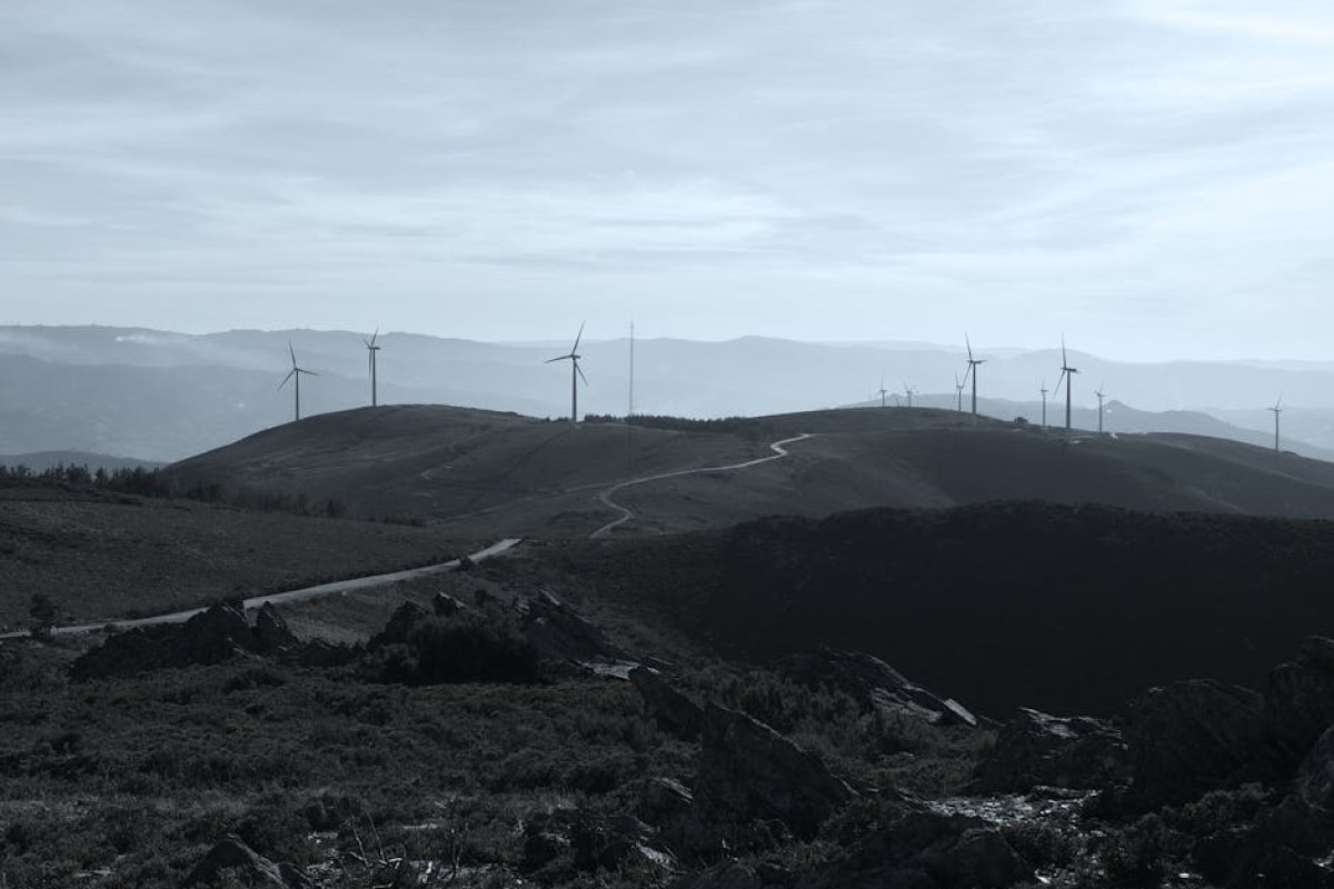 wind farm landscape