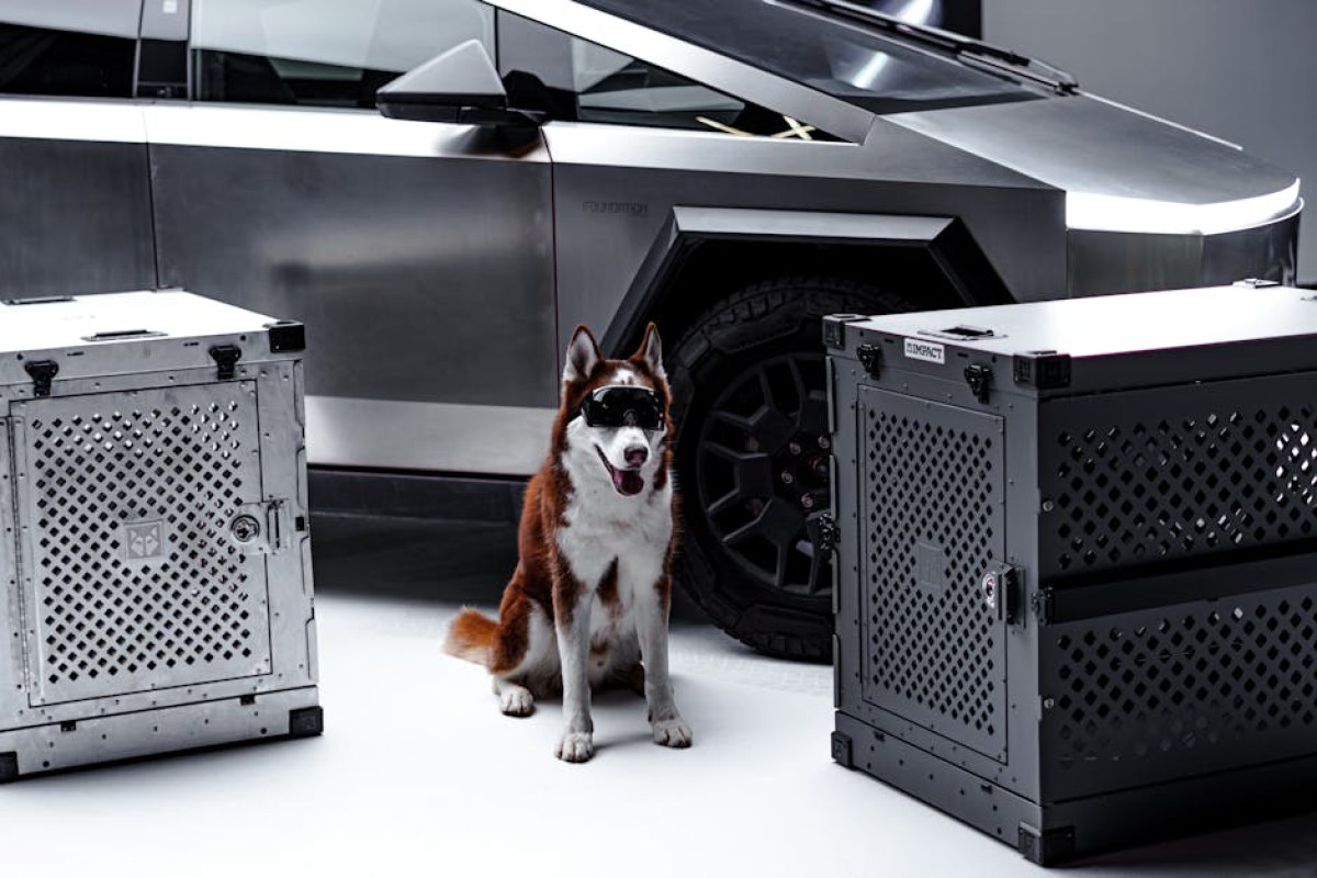 Tesla Cybertruck jako mobilny magazyn energii – nowy standard V2G w Kalifornii